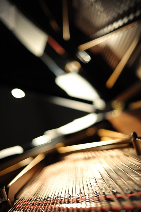 piano | by bertram rusch
