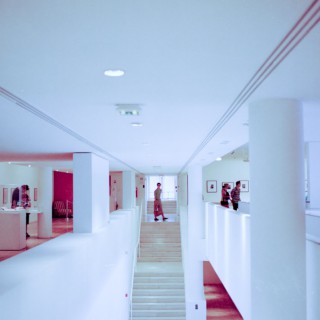 musée de matisse